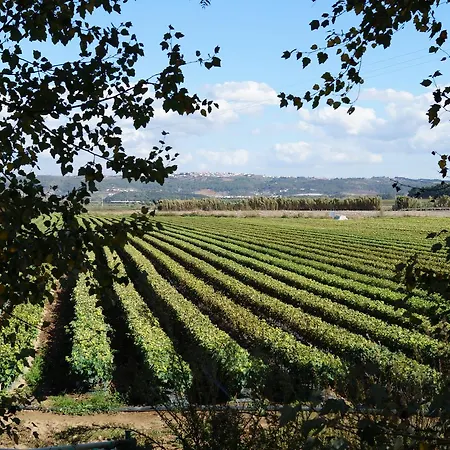 Quinta Da Azenha Affittacamere