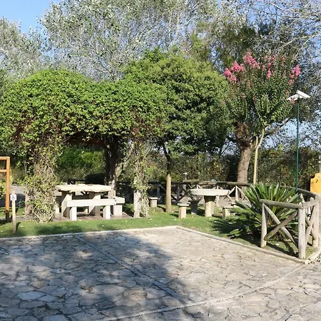 Quinta Da Azenha Affittacamere 3*