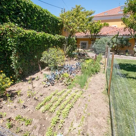 Quinta Da Azenha Affittacamere