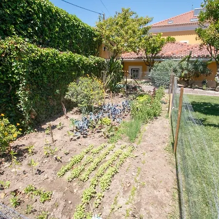 Quinta Da Azenha Guest house